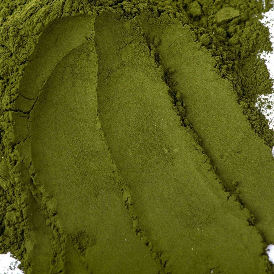 Chlorella Powder high quality