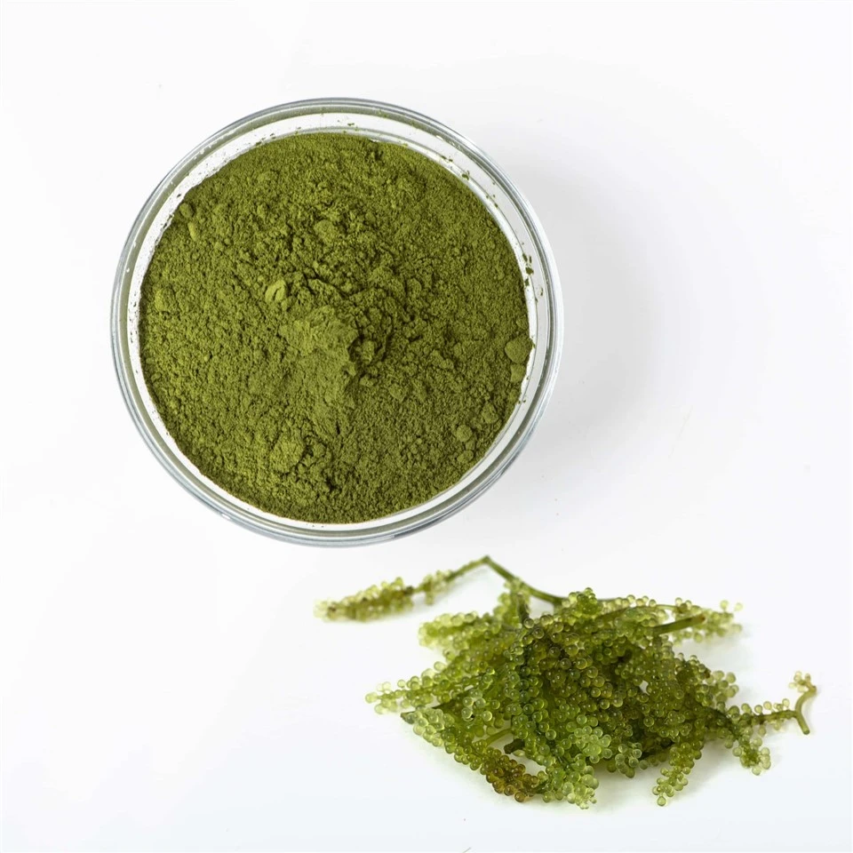 Chlorella Powder suppliers