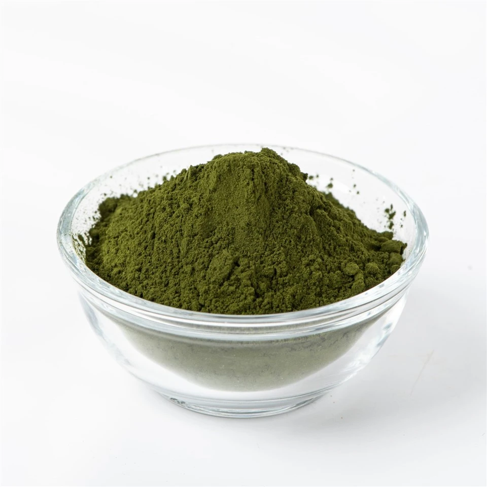 Chlorella w proszku
